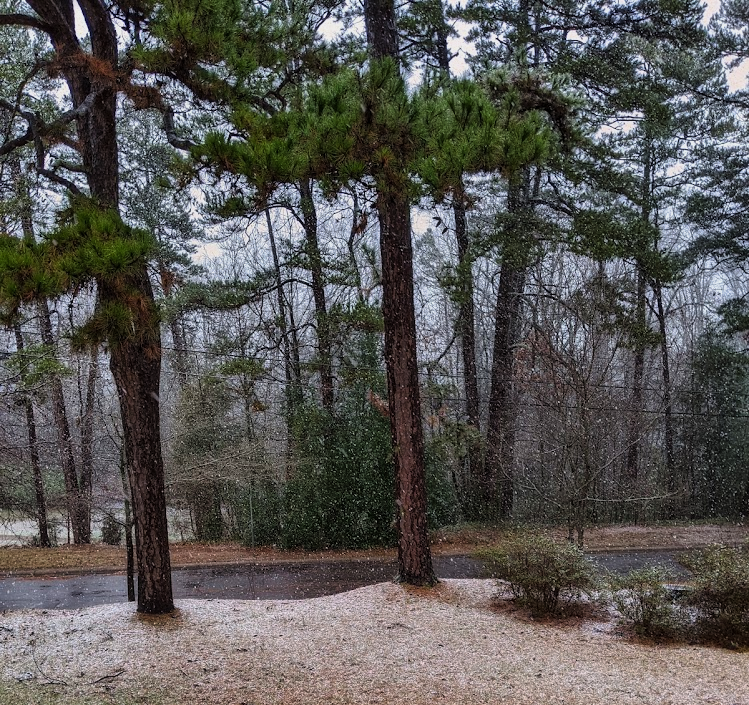 A rare snowwy winter in Salisbury